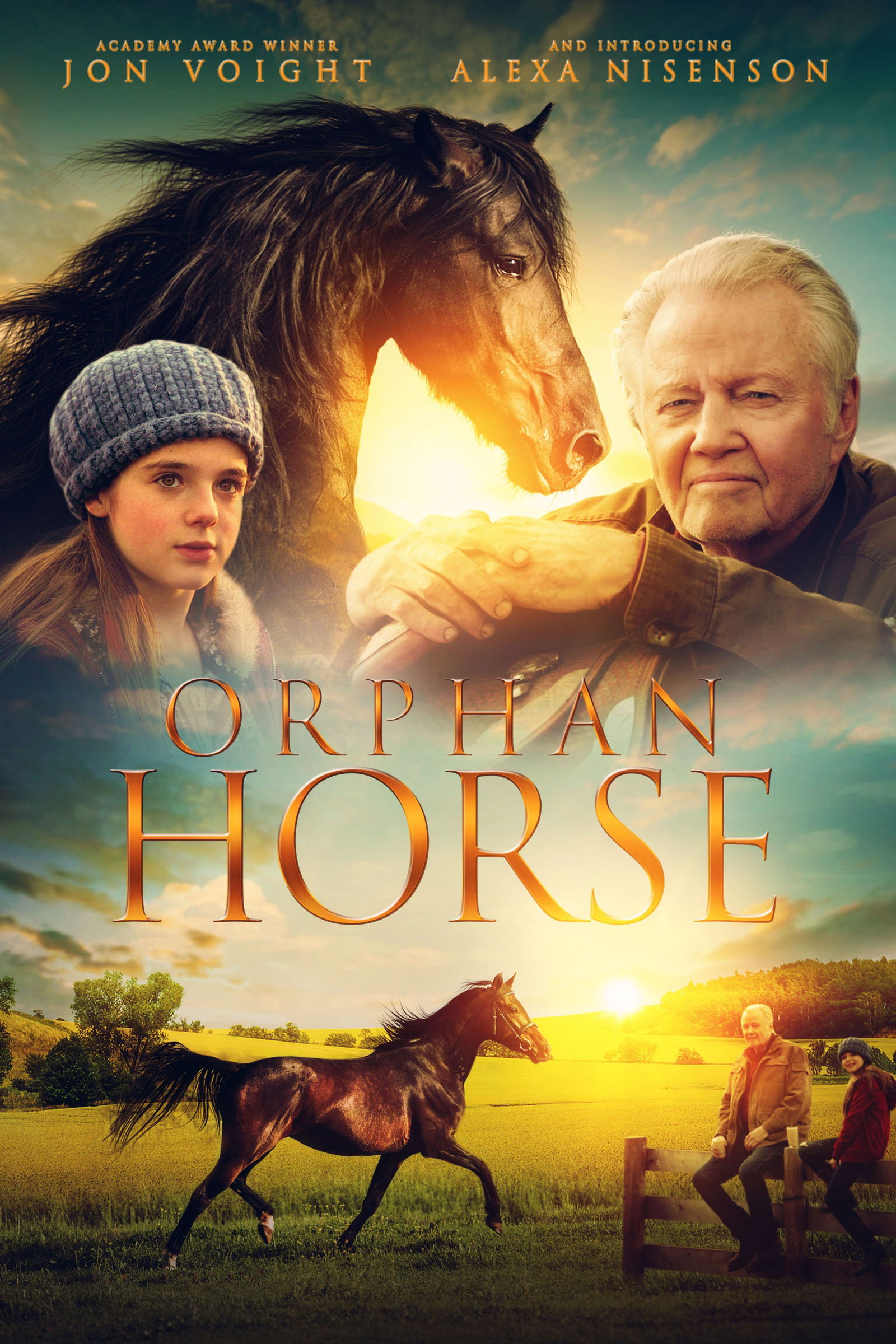 ORPHAN HORSE - Movieguide | Movie Reviews for Families | ORPHAN HORSE -  Movieguide | Movie Reviews for Families