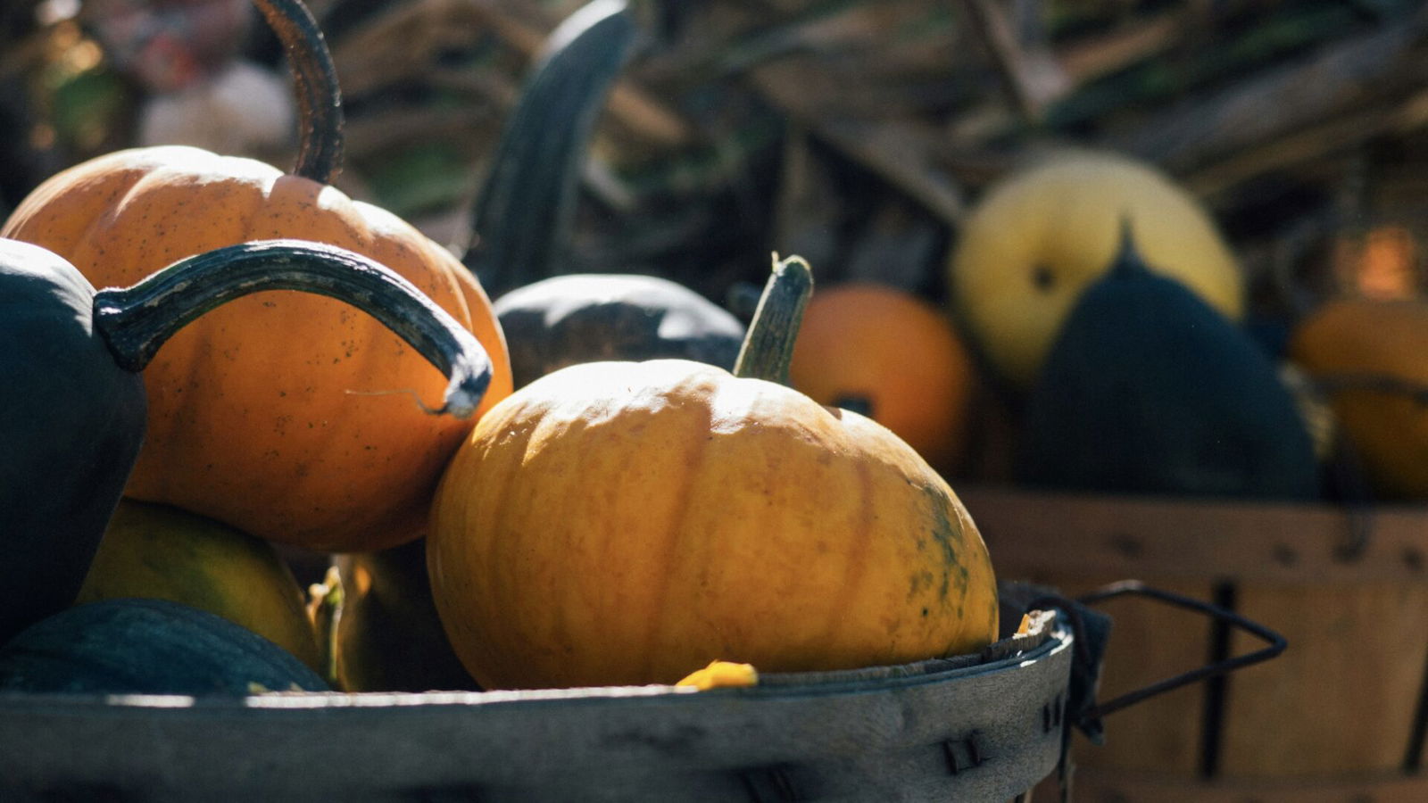 Christian Alternatives to Halloween | Christian Alternatives to Halloween