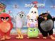 Angry Birds movie