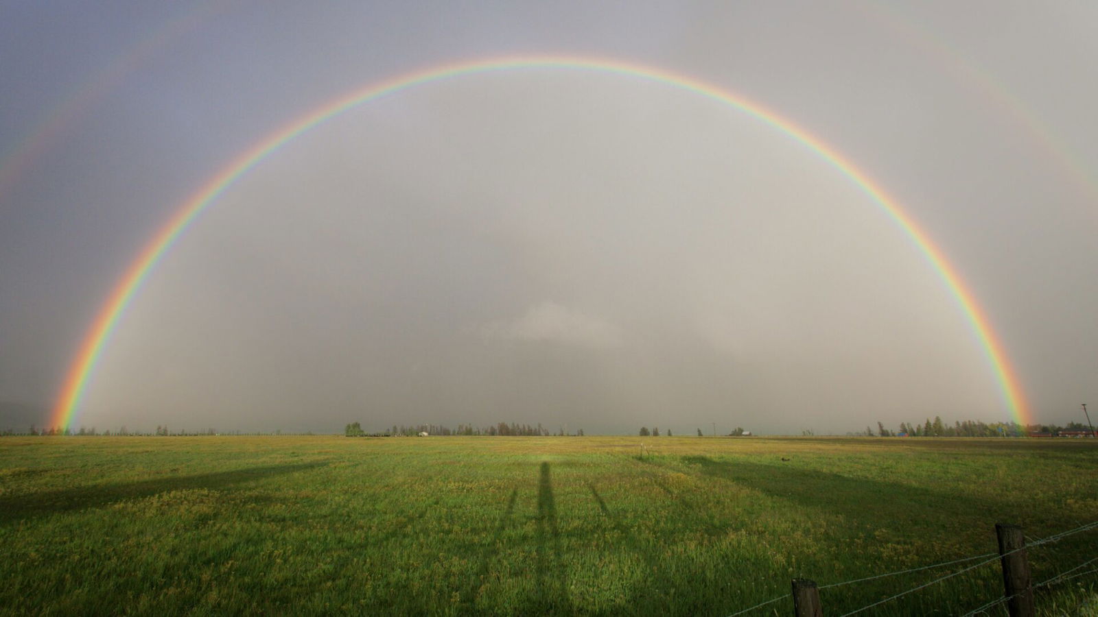 Rainbow