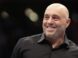 Joe Rogan