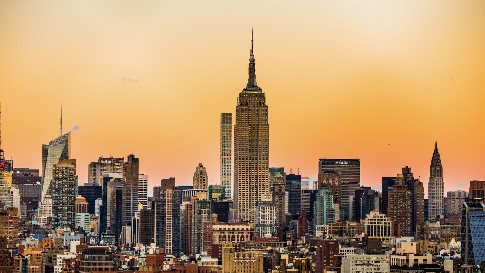 New York New York