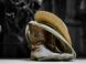 brown cowboy boots on white textile