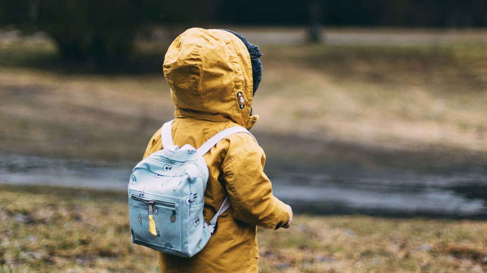 child, school, outdoors child, school, outdoors