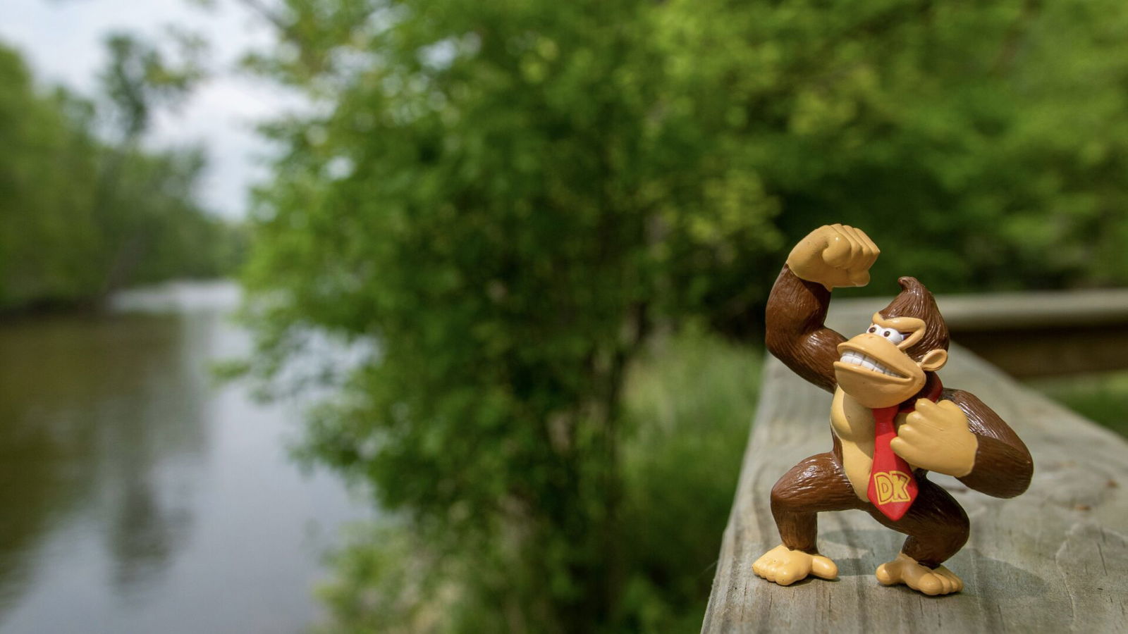 Donkey Kong Donkey Kong