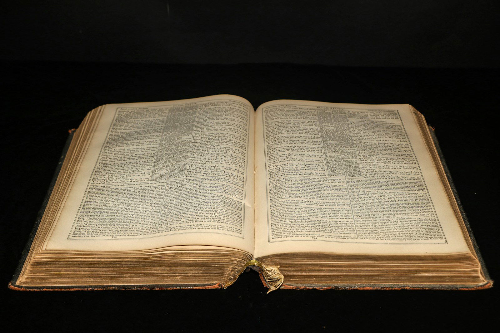 Photo by Danika Perkinson open book