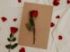 red rose on brown envelope