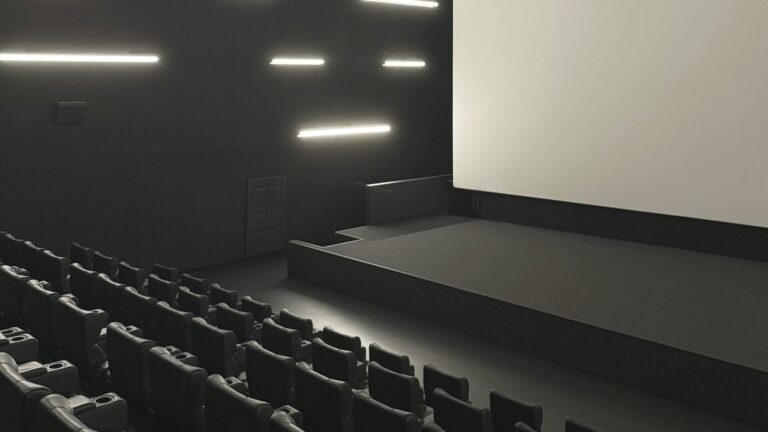 Are Americans Ditching Movie Theaters?