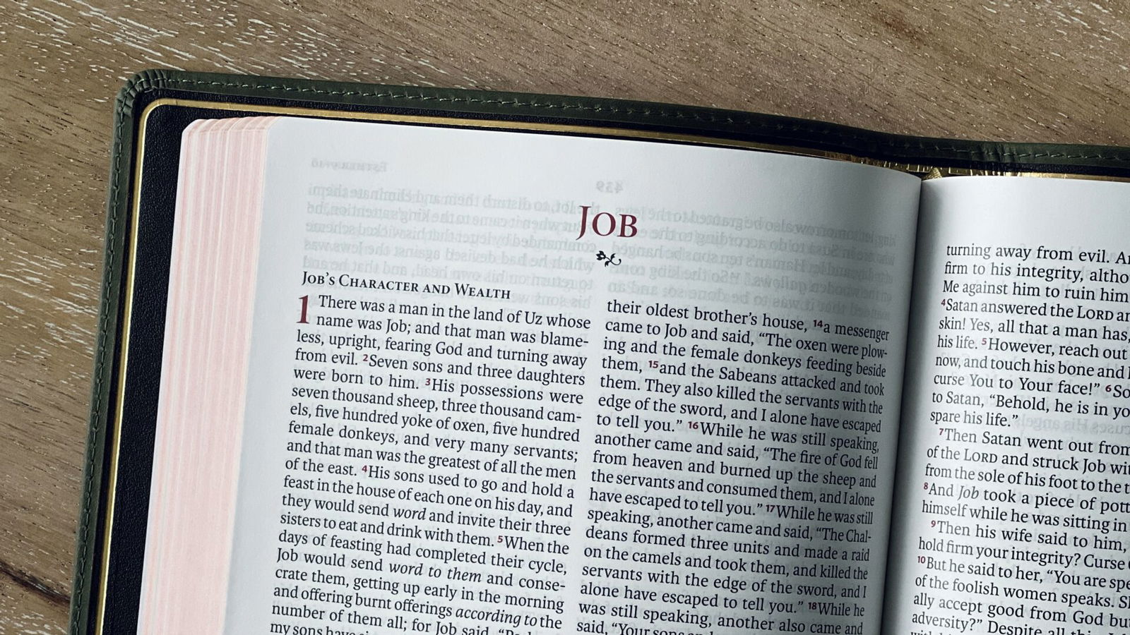 Bible, Job