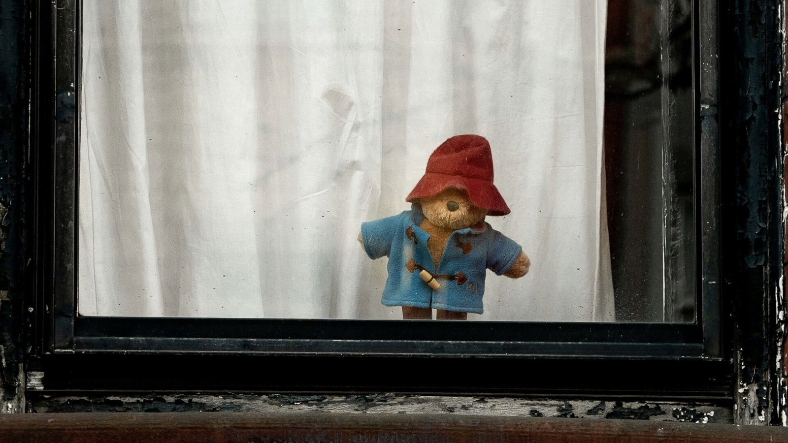 Paddington Paddington