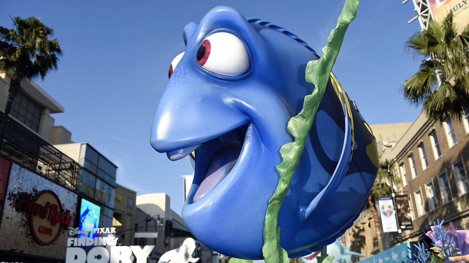 FINDING DORY-Getty Images-538918670 FINDING DORY